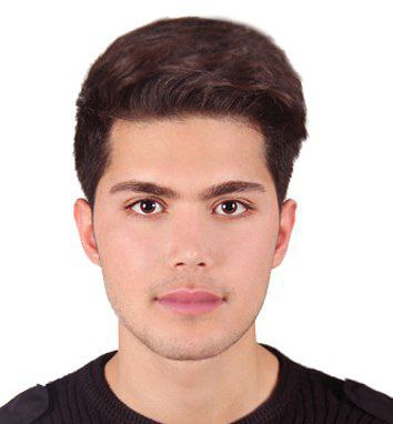 ali shahi-Bachelor´s student in Energy Engineering-Qom University of Technology